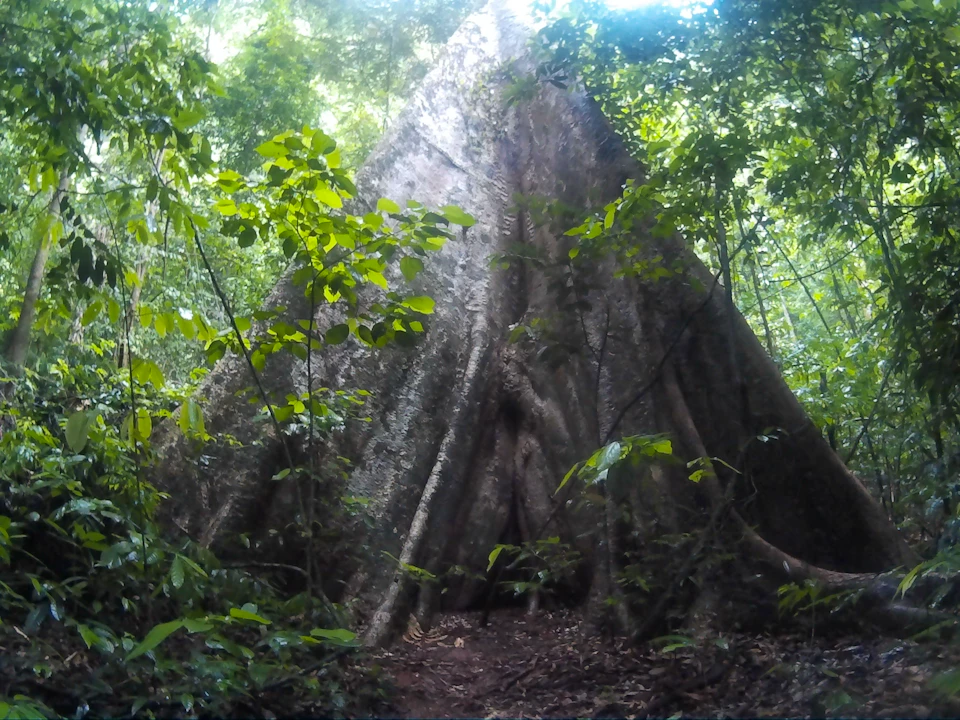 Khao Sok Lake Day Trip